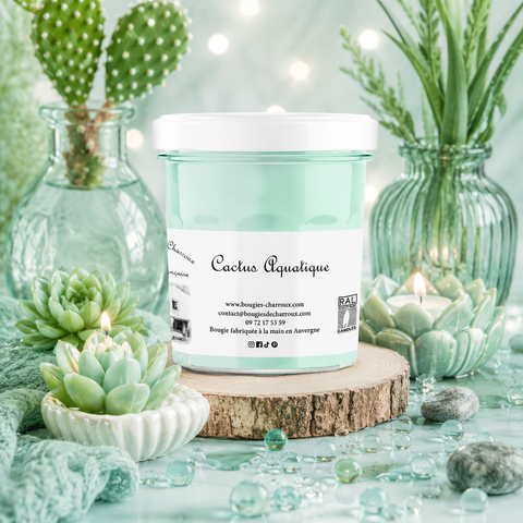 Bougie parfumée CACTUS AQUATIQUE