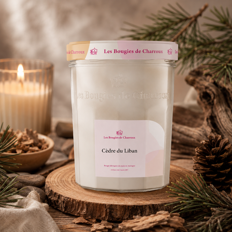 Bougie parfumée aux cèdres XXL