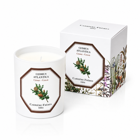 Bougie parfumée Cèdre