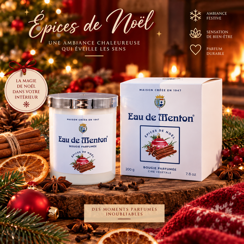 Bougie Artisanale 220g – Epices de Noël