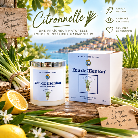 Bougie Artisanale 220g – Citronnelle