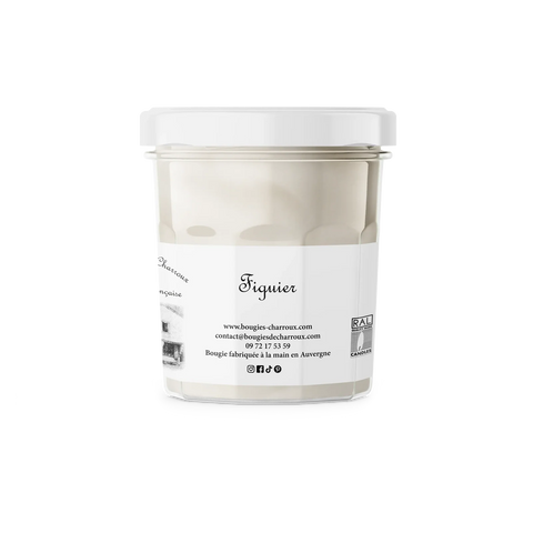 Bougie parfumée FIGUIER