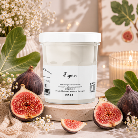 Bougie parfumée FIGUIER