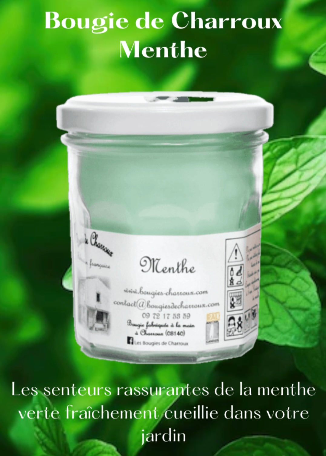Bougie parfumée MENTHE