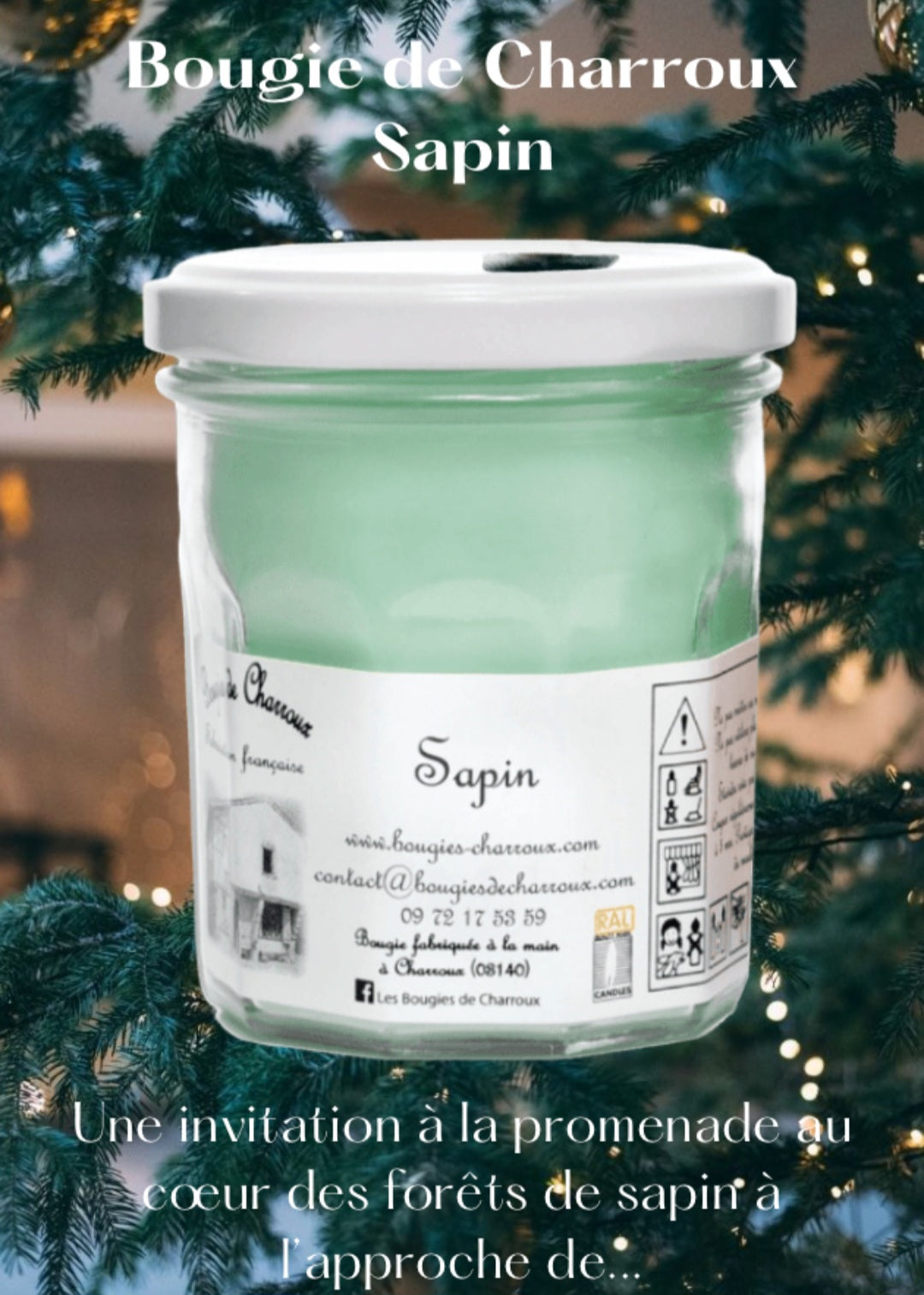 Bougie parfumée SAPIN