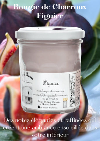 Bougie parfumée FIGUIER