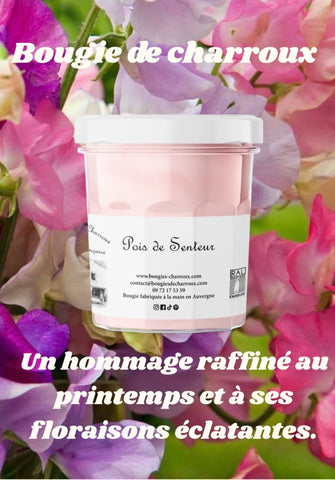 Bougie parfumée pois de senteur