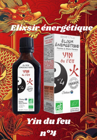 Élixir Énergétique n°4