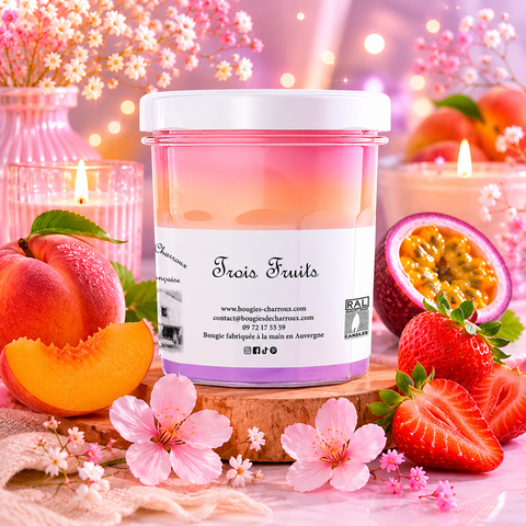 Bougie parfumée TROIS FRUITS