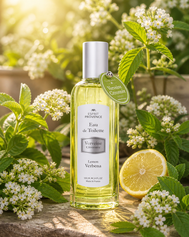 Eau de Toilette Verveine citronnée Rétro - Vapo 100 ml