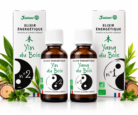Duos Élixir énergétique "BOIS"