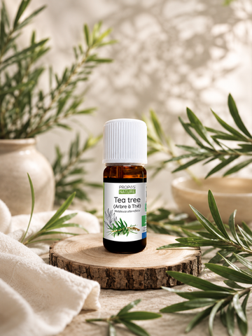 Huile essentielle Tea Tree 10ml
