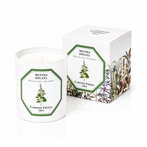 Bougie Menthe Verte