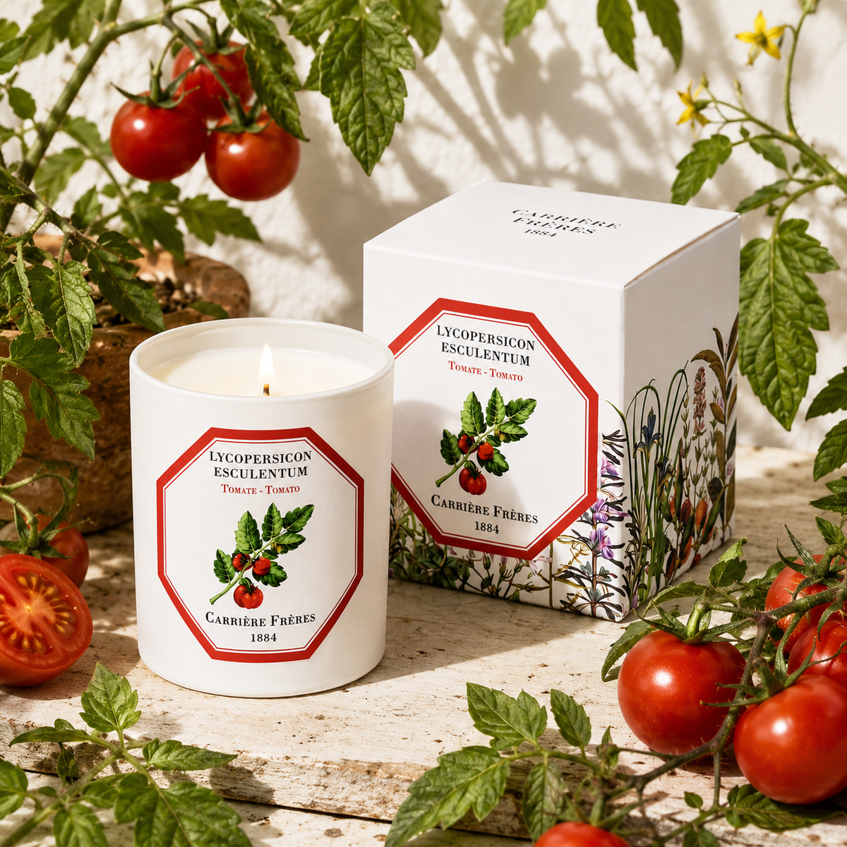 Bougie Tomate