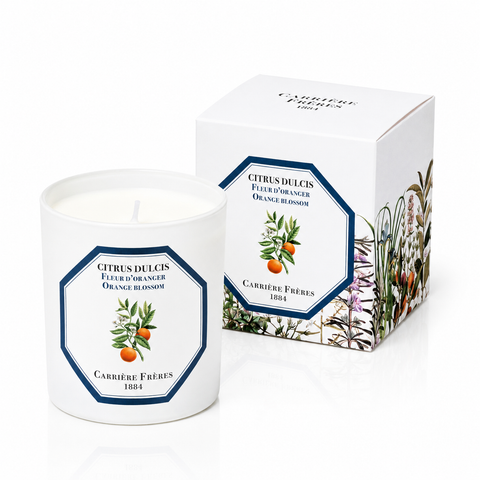 Bougie Fleur d'oranger