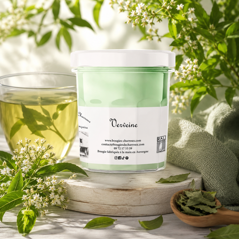 Bougie parfumée VERVEINE