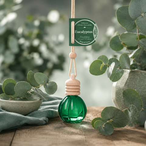 Diffusseur d'huile essentielle eucalyptus12 ml