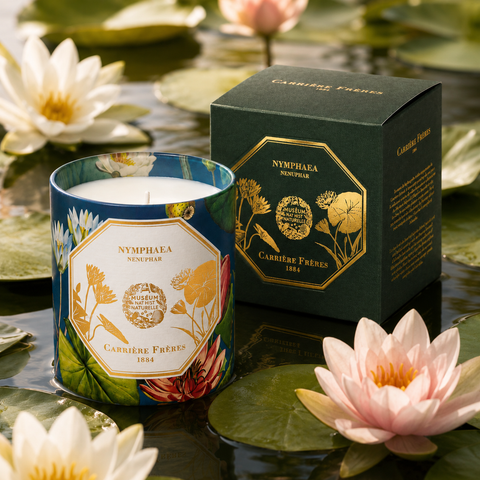Bougie Nénuphar