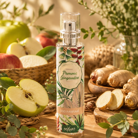 POMME/GINGEMBRE