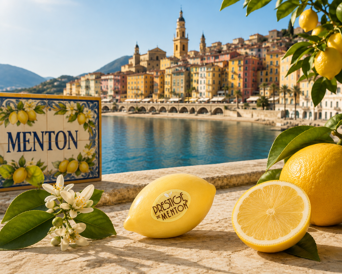 Savon Citron jaune Prestige de Menton – A l’huile d’Olive Bio 100g