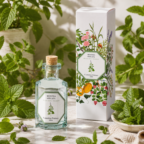 Diffuseur Menthe Verte