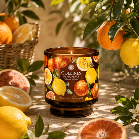 Bougie Parfumée Agrumes du Verger