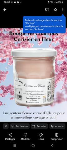 Bougie parfumée CERISIER EN FLEUR 🌸