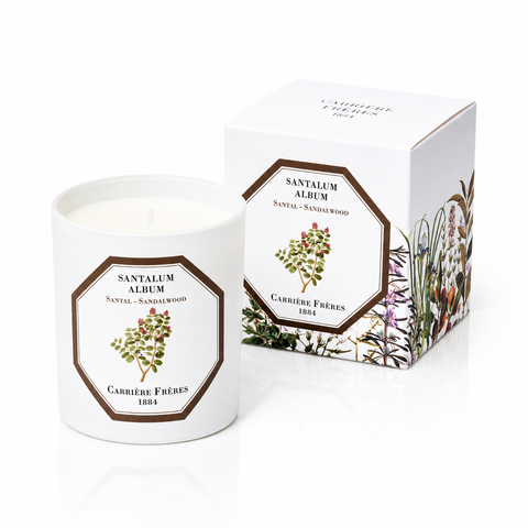 Bougie Santal
