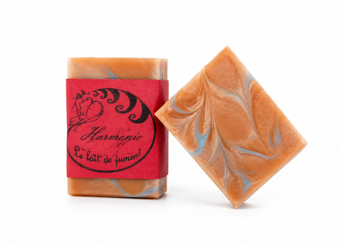 Le nevayo au lait de jument