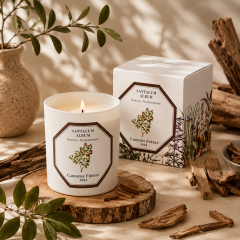 Bougie Santal